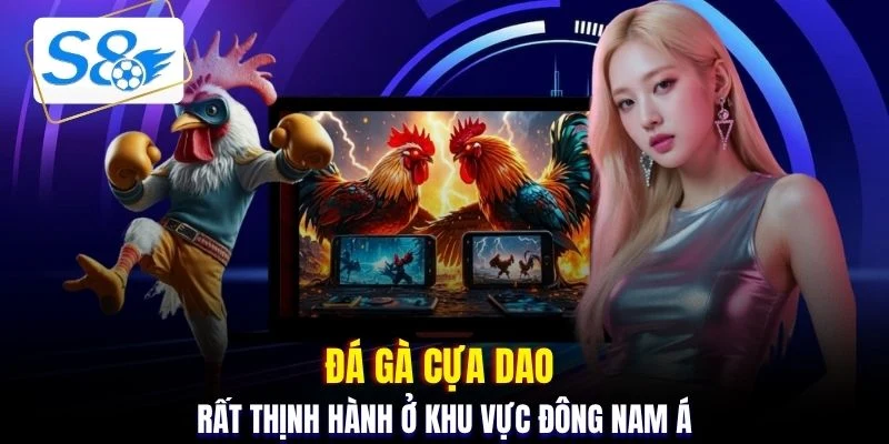 Đá gà cựa dao rất thịnh hành ở khu vực Đông Nam Á