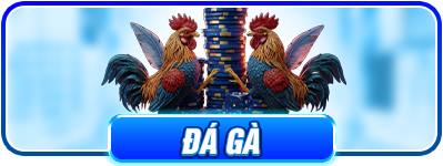 Đá gà