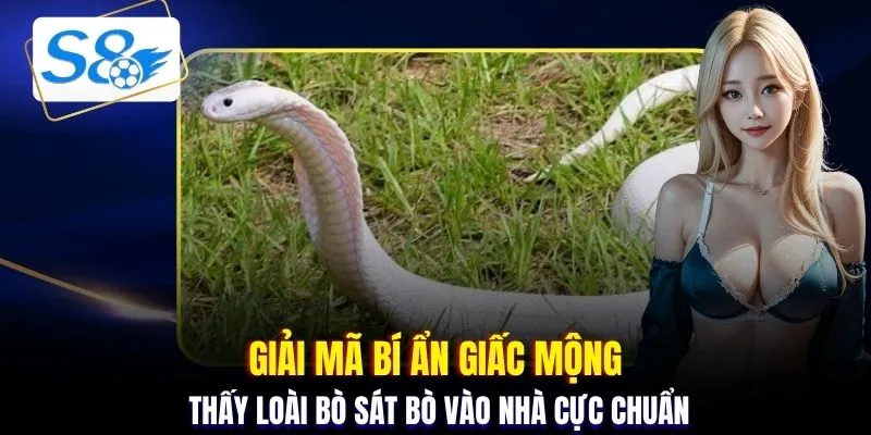 Giải mã bí ẩn giấc mộng thấy loài bò sát bò vào nhà cực chuẩn