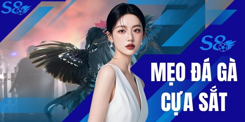 Mẹo Đá Gà Cựa Sắt