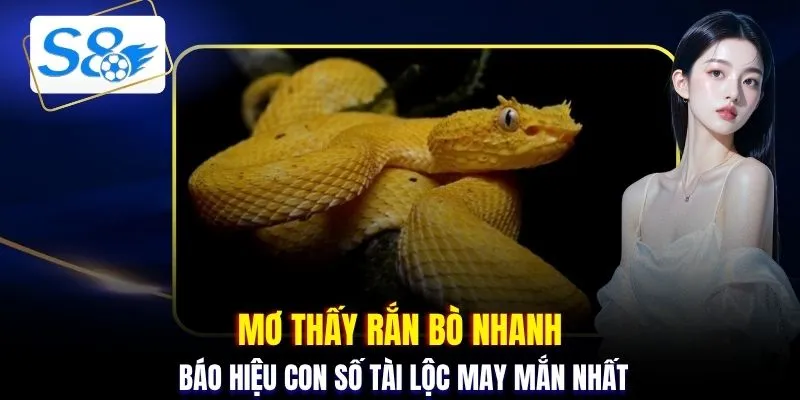 Mơ thấy rắn bò nhanh báo hiệu con số tài lộc may mắn nhất