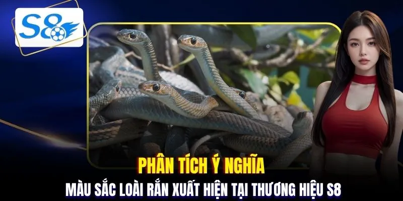 Phân tích ý nghĩa màu sắc loài rắn xuất hiện tại thương hiệu S8