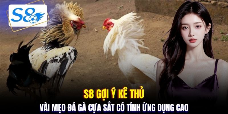 S8 gợi ý kê thủ vài mẹo đá gà cựa sắt có tính ứng dụng cao