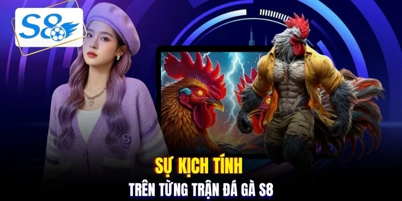 Sự kịch tính trên từng trận đá gà S8