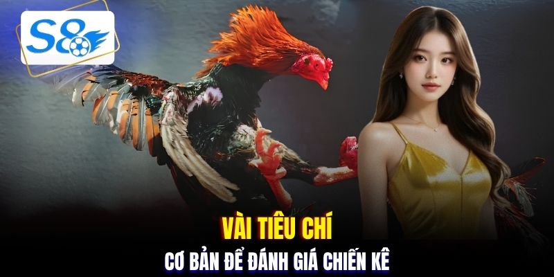 Vài tiêu chí cơ bản để đánh giá chiến kê