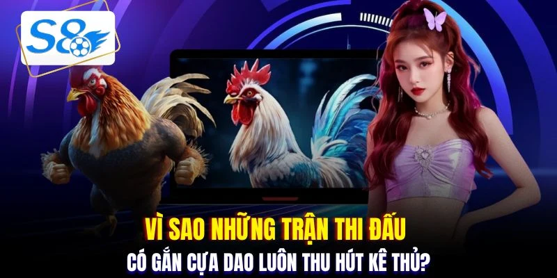 Vì sao những trận thi đấu có gắn cựa dao luôn thu hút kê thủ?